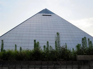 Weeds at the Pyramid