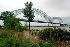 Memphis Flood 2011 - 40.14 Feet (3)